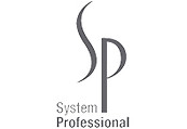 System Professional