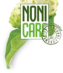 Логотип NONICARE